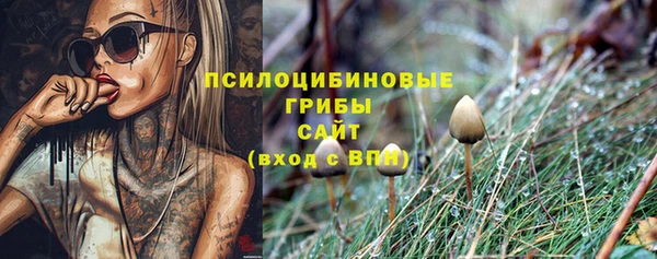 экстази Алексеевка