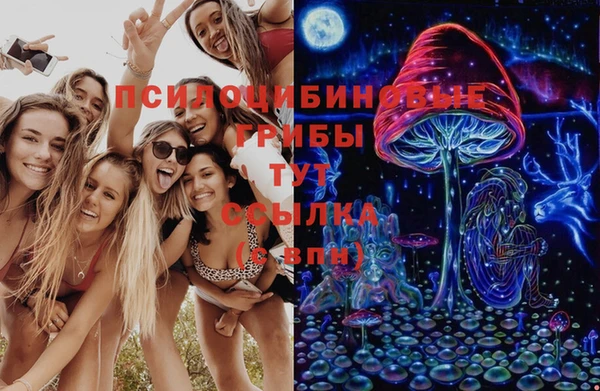 экстази Алексеевка